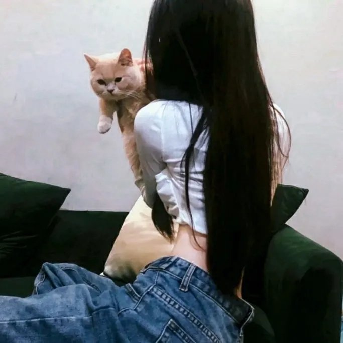 天使行动
